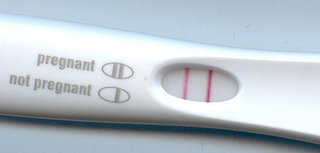 Illustration for article titled What Do A Pregnancy Test And A Roman Goblet Have In Common?